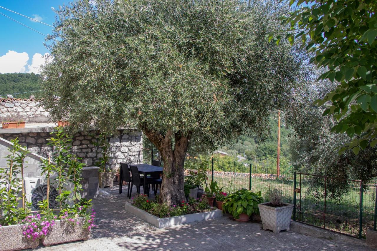 Appartement Casa Degli Ulivi Con Parcheggio Privato à Muro Lucano Extérieur photo